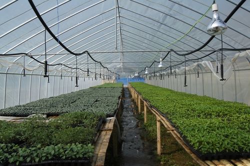 现代农业示范项目蔬菜工厂化育苗基地建设项目可行性研究报告