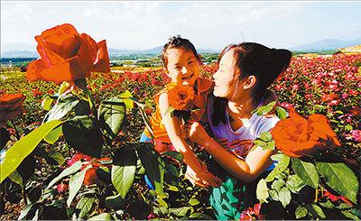 2013年,京郊110个农田休闲观光点吸引市民680万人,带动旅游收入达2.