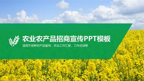 农业招商农产品宣传ppt模板