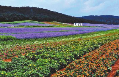 美国观光农业旅游业发展概况