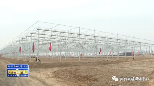 灵石县鑫奥特农业综合开发项目建设快速有序推进